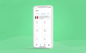 Fluent Forever Beta App